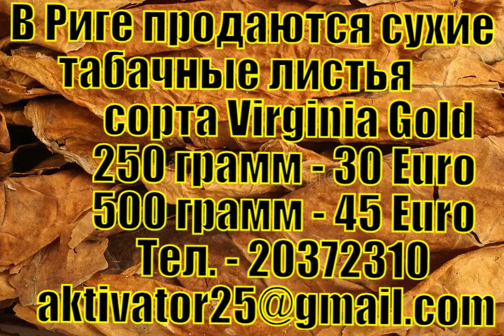 Курить за рулем — это не просто привычка, а фактор риска