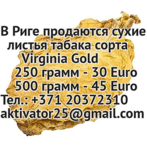 Курить за рулем — безопасная альтернатива и советы